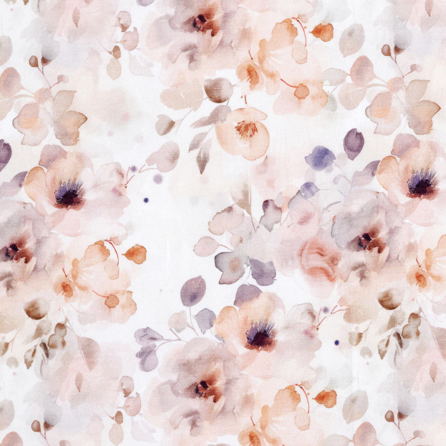 GOTS Jersey coton Impression numérique de roses sauvages à l’aquarelle – blanc/vieux rose clair