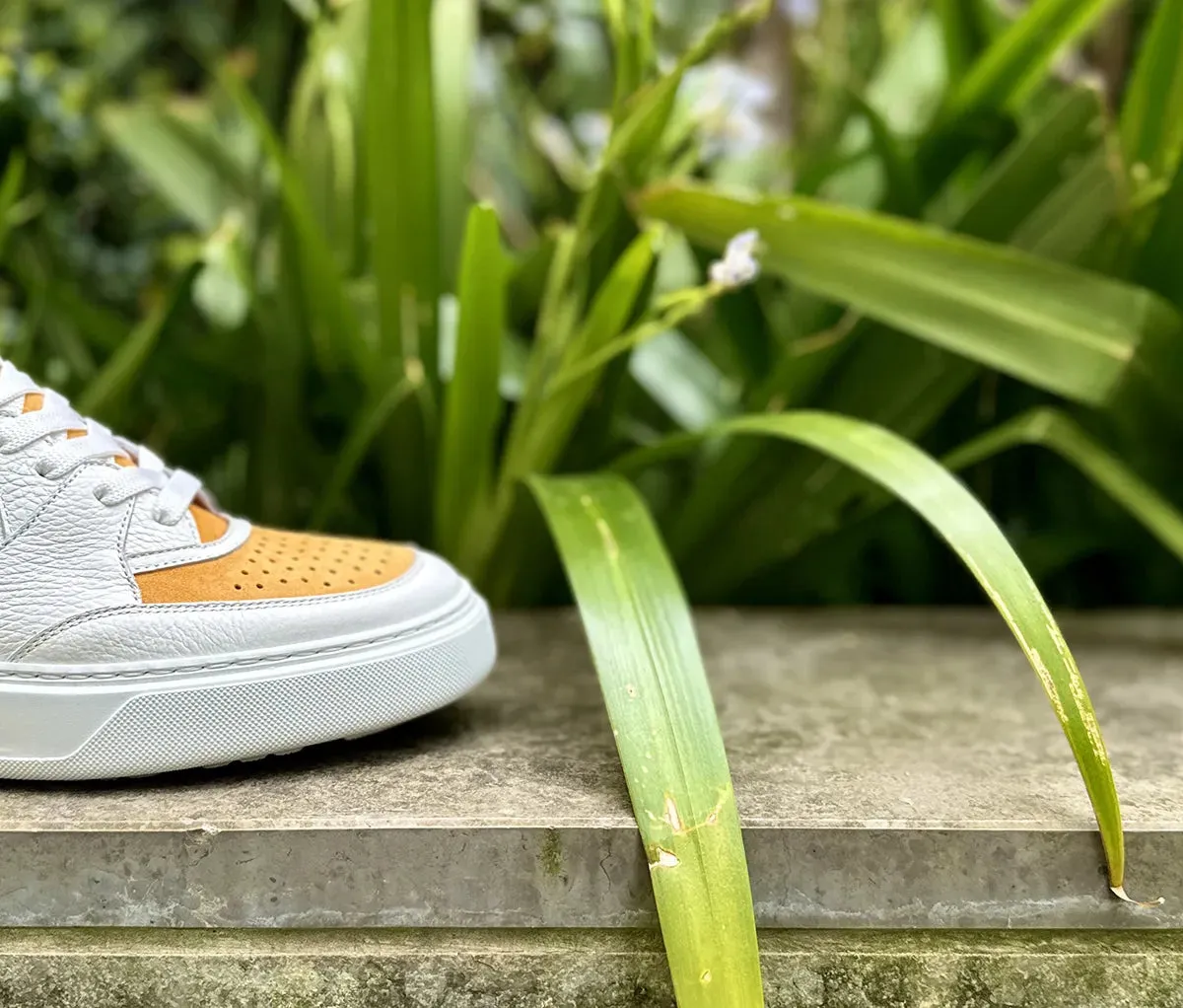 White/Mustard Caulaincourt Kerguelen Sneakers